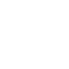 dara-icon-security.webp